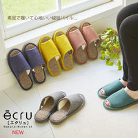 オクムラ ecru 絨毯パイルＭ YE NEAA8900YE 1セット（2足）（直送品）