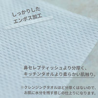 ネピア 鼻セレブ 洗顔専用フェイシャルタオル 洗顔用使い捨てペーパータオル 120組（240枚）30個　1ケース 王子ネピア