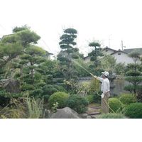 工進 エンジン式小型動噴 8.5mm×50mホース MS-ERH50H85 1台（直送品）