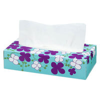 ティッシュペーパー 220組 アスクルオリジナル スプレッドフラワー 1パック（5箱入） PEFC認証紙 ボックスティッシュ オリジナル（わけあり品）