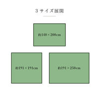 イケヒコ・コーポレーション い草ラグ 抗菌防臭 カラフルブロック 1400×2000mm ブルー 1050140042303 1枚（直送品）