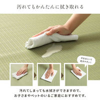 イケヒコ・コーポレーション PPカーペット ラグ 五木 江戸間6畳 2610×3520mm 1090040001202 1枚（直送品）