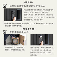 三栄コーポレーション 木目調ポスト付き宅配ボックス ブラック×木目調ナチュラル A1-DLMPBBKNA_AS 1台（直送品）