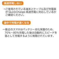 エアージェイ 発火を防ぐPTC TYPE-C to Cケーブル3M UKJ-PCTC 3M 1本