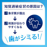 シュミテクト コンプリートワンEX プレミアム フレッシュシトラス 90g 歯磨き粉 1本 Haleonジャパン