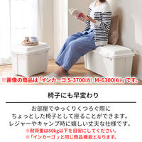 天馬 #樹脂と暮らすーR トランクボックスM 110013946 1個