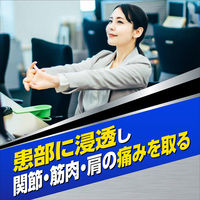 ゼノールエクサムSX 43g 3箱セット 大鵬薬品工業  フェルビナク3％配合　塗り薬　関節痛 筋肉痛 肩の痛み【第2類医薬品】