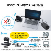 サンワサプライ ダイレクト:自動追尾型カメラ 400-CAM072N 1個（直送品）