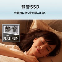 アイ・オー・データ機器 USB3.2 Gen2対応 パソコン/テレビ録画対応 スティックSSD 1TB SSPM-US1K 1個