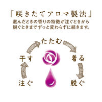 【旧品】ソフラン アロマリッチ 柔軟剤 ダイアナ 詰め替え ウルトラジャンボ 1600mL 1セット （3個） ライオン