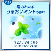 薬用ピュオーラ 歯磨き粉 バリア ジェル ハミガキ 115g 1本 花王