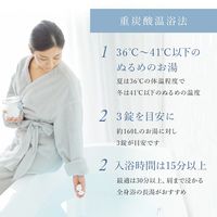 【お試し用】 ホットタブ シャワー 重炭酸入浴剤 3回分 1パック（9錠入：1回3錠）医薬部外品 ホットアルバム炭酸泉タブレット