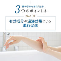 ホットタブ リカバリー 薬用 重炭酸入浴剤 10回分 1パック（30錠入：1回3錠）医薬部外品 ホットアルバム炭酸泉タブレット