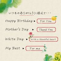 パックスナチュロン　ハンドクリーム　ギフトセット 1個 プチギフト　クリスマス　ミニサイズ　無添加　敏感肌用　天然由来100%　精油