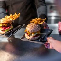 コジオル KOZIOL MOVE トレイ 230mm AGY 4002942633410 1個