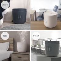 QUADS スチーム加湿器2.5L 連続加湿 ホワイト QS328WH 1台（直送品）