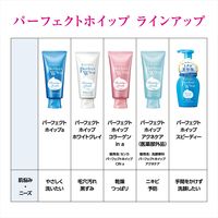 センカ　パーフェクトホイップｆ　専科 洗顔フォーム ミクロ美容泡 ファイントゥデイ