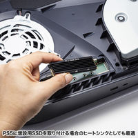 サンワサプライ M.2 SSD用ヒートシンク 両面実装対応(ブラック) TK-HM6BK 1個