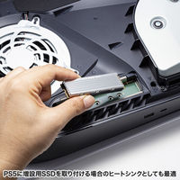 サンワサプライ M.2 SSD用ヒートシンク 両面実装対応(シルバー) TK-HM6S 1個（直送品）