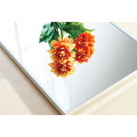 パール金属 軽くて割れない壁掛けミラー　ホワイト 幅500×奥行20×高さ1600mm N-7088　1個（直送品）