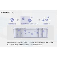 セキスイ 抗菌コンテナシリーズ 抗菌角カゴ浅型 大 ナチュラル KK5412N 1個