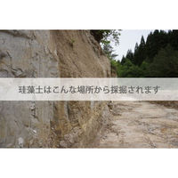 ワンウィル FINISH ONE 珪藻土 18kg グリーン 209327 1缶（直送品）