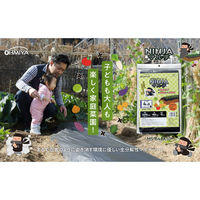 オーミヤ MS-64BK10 NINJAマルチ 10mMS-64BK10　1枚（直送品）