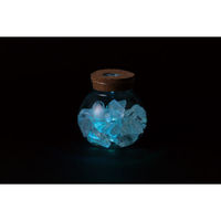 アーテック 透明鉢(ライト付) 58263 1個（直送品）