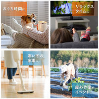 かけぽか 1パック（10個入）カイロ レック