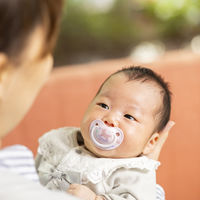 ピジョン おしゃぶり Fun Friendly（ファンフレンドリー） 0～3ヵ月頃 S もくば柄 1個