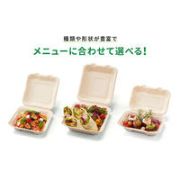 パックスタイル バガス容器 新BBランチ 200-200 00684425 1セット(1袋(50枚)×4)