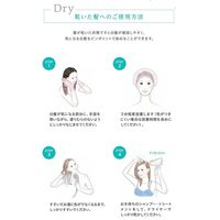 LPLPessence カラートリートメント エボニーブラック＜ナチュラルブラック＞ 170g スタージュ