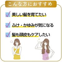 ヘアアクセルレーターEX フローラルアップル 150ml 加美乃素本舗