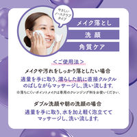 クレンジングリサーチ ウォッシュクレンジングA 120g 3in1洗顔料 ノースクラブ BCLカンパニー