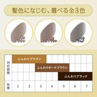 ビゲン グレイスタイル ツートーンカバー スプレー ふんわりダークブラウン 95g ホーユー