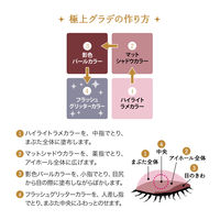 【数量限定】マジョリカマジョルカ シャドーフラッシュ RD352 資生堂 アイシャドウ アイシャドー