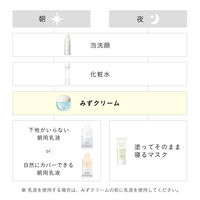 エリクシール ルフレ バランシング みずクリーム 60g 資生堂 フェイスクリーム