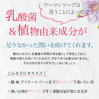 ピアジュール ウーマンソープ 100g void デリケートゾーン