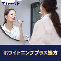 カムテクト ハミガキ プレミアム ホワイトニング 95g Haleonジャパン 歯磨き粉
