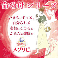命の母 メグリビa 加味逍遥散（かみしょうようさん） 四物湯（しもつとう） 168錠 小林製薬【第2類医薬品】
