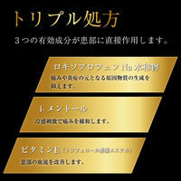 パスタイムLXプレミアム 14枚 祐徳薬品工業 ロキソプロフェン テープ剤 腰痛 肩の痛み 関節痛 筋肉痛【第2類医薬品】