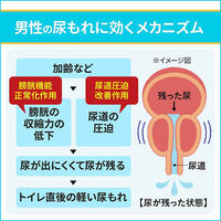 モレナクト 120錠 小林製薬【第2類医薬品】