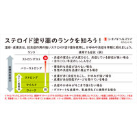 リンデロン Vs ローション 10g シオノギヘルスケア　ステロイド 塗り薬 湿疹 皮膚炎【指定第2類医薬品】