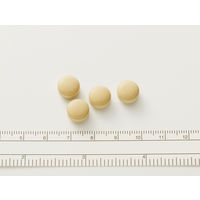 アルピタンγ 16錠 小林製薬 二日酔い【第2類医薬品】