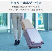 リュック ビジネスリュック 2way 薄型 撥水加工 14インチノートPC グレージュ BM-UMBP01GY エレコム 1個