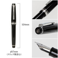 【アウトレット】セーラー万年筆 プロフェッショナルギアスリム銀 万年筆 ブラック Z(ズーム) 101222720 1本