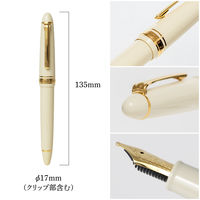 【アウトレット】セーラー万年筆 プロフィットスタンダード万年筆 アイボリー Z(ズーム) 101619717 1本