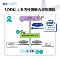 Vetsolution ベットソリューション 猫用 皮膚サポート 1.5kg（直送品）
