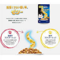 （お得なセット）フィリックス 我慢できない隠し味 バラエティパック お魚とお肉 ゼリー 36袋 ＋ ソース 12袋 ネスレ日本