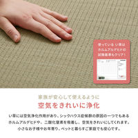 【玄関渡し】 萩原 折り畳める　畳マットレス　貴船　セミダブル　（彩　縁有）  120×200cm（直送品）